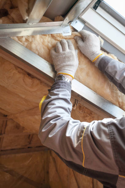 Best Attic Insulation Installation  in Hyde Park, UT